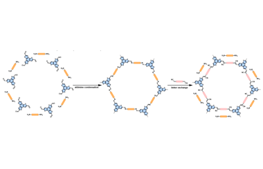 An imine detour to vinylene-linked covalent organic frameworks 2026.100911
